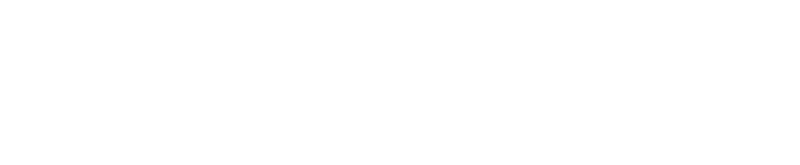 SeyfertSoft logo