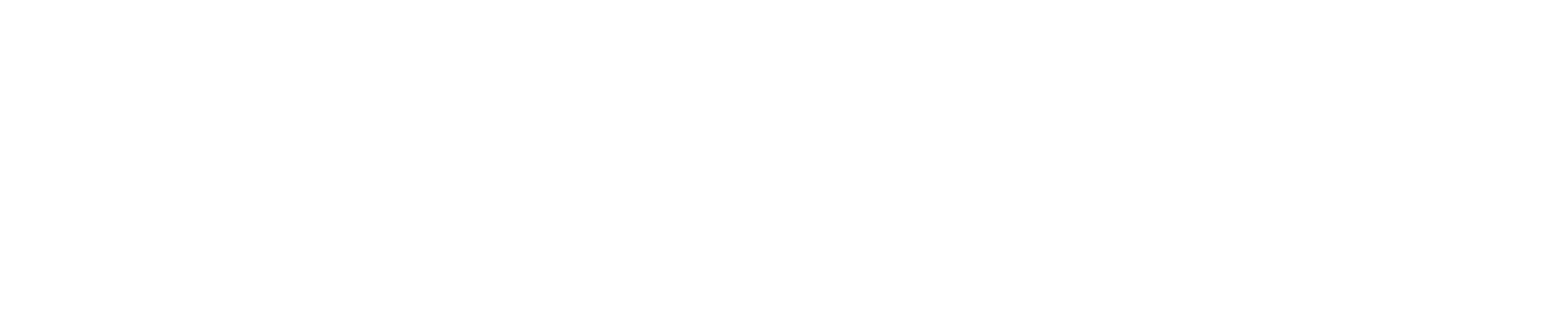 SeyferSoft